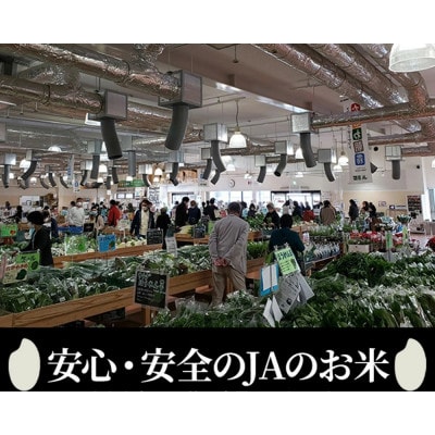 【毎月定期便】JA京都 たわわ朝霧の京都丹波産 コシヒカリ5kg 全3回