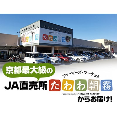 【毎月定期便】JA京都 たわわ朝霧の京都丹波産 コシヒカリ5kg 全6回