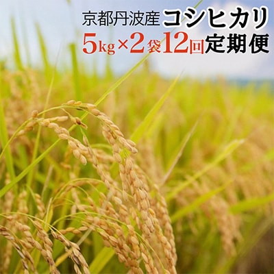 【毎月定期便】JA京都 たわわ朝霧の京都丹波産 コシヒカリ 10kg(5kg×2袋) 全12回