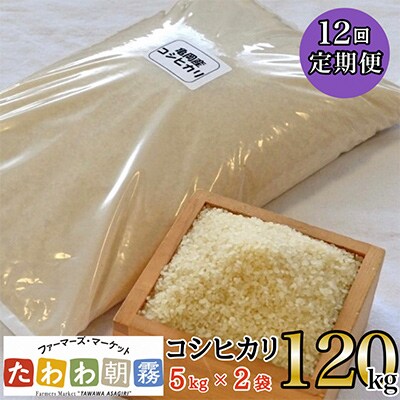 【毎月定期便】JA京都 たわわ朝霧の京都丹波産 コシヒカリ 10kg(5kg×2袋) 全12回