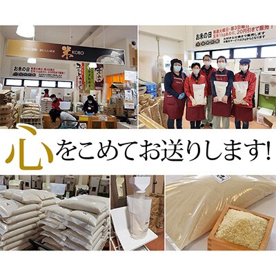 【毎月定期便】JA京都 たわわ朝霧の京都丹波産 コシヒカリ 10kg(5kg×2袋) 全12回