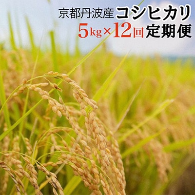 【毎月定期便】JA京都 たわわ朝霧の京都丹波産 コシヒカリ5kg全12回
