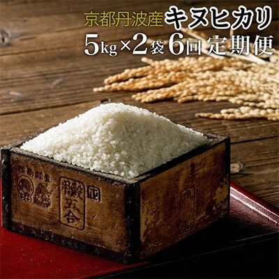 2023年11月発送開始『定期便』京都丹波・亀岡産 キヌヒカリ 5kg×2袋 計60kg全6回