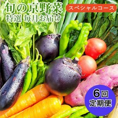 旬の京野菜 特選 毎月お届けスペシャルコース(全6回)