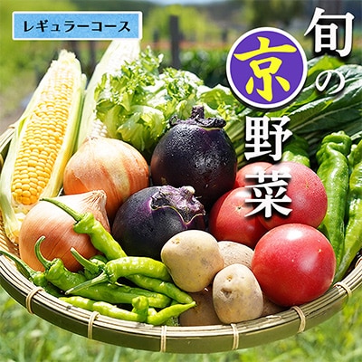 新鮮 旬の京野菜 詰め合わせ レギュラーコース 1回 京都 野菜セット 個包装でお届け