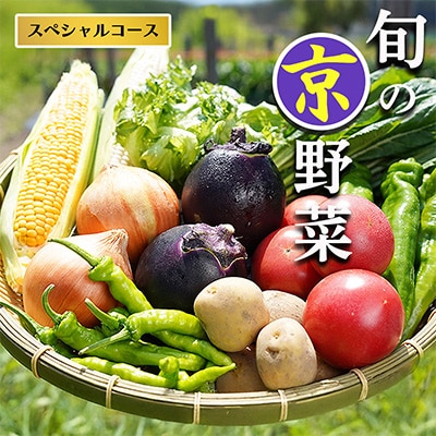 新鮮 旬の京野菜 詰め合わせ スペシャルコース 1回 京都 野菜セット 個包装でお届け