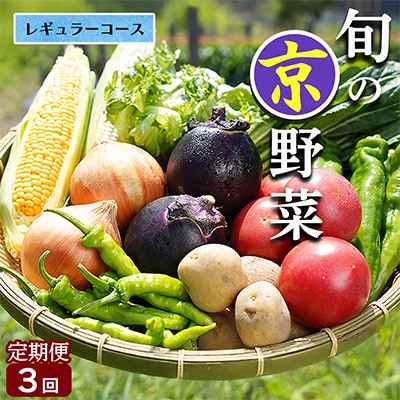 【3回定期便】旬の京野菜 毎月お届けレギュラーコース(全3回)