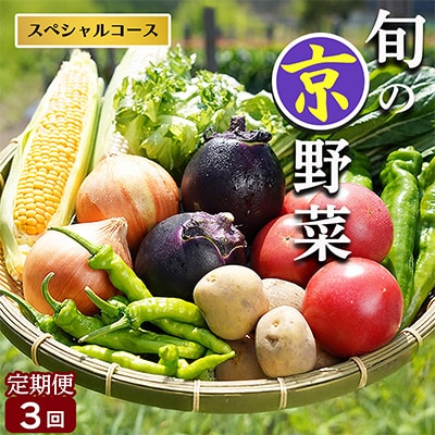 【3回定期便】旬の京野菜　毎月お届けスペシャルコース(全3回)