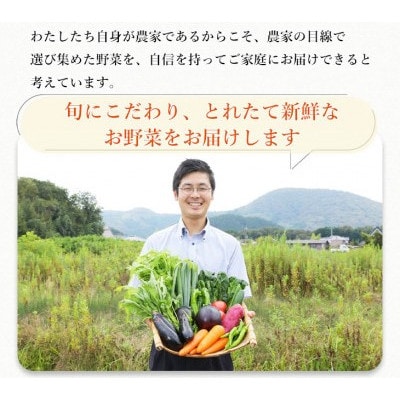 【12回定期便】旬の京野菜 毎月お届けレギュラーコース(全12回)& 葉酸たまご6個入り