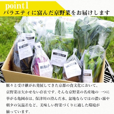 【6回定期便】旬の京野菜 毎月お届けスペシャルコース(全6回)& 葉酸たまご10個入り