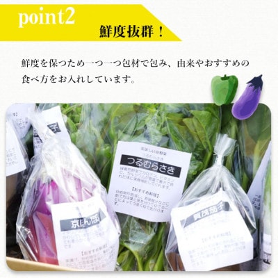 【6回定期便】旬の京野菜 毎月お届けスペシャルコース(全6回)& 葉酸たまご10個入り