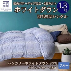 京都金桝の羽毛布団 掛け布団 ハンガリーホワイトダウン93% シングル ブルー DP380 ミスト