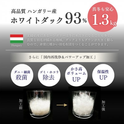 <京都金桝>羽毛布団 掛け布団 シングル ハンガリーホワイトダウン93% 二層キルト ブルー|ミスト
