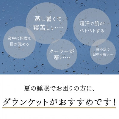 ＜京都金桝＞夏用 羽毛 肌掛け布団 ハンガリーホワイトグースダウン93% ブルー | Eプラス