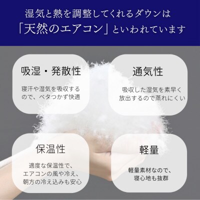 ＜京都金桝＞夏用 羽毛 肌掛け布団 ハンガリーホワイトグースダウン93% アイボリー | Eプラス