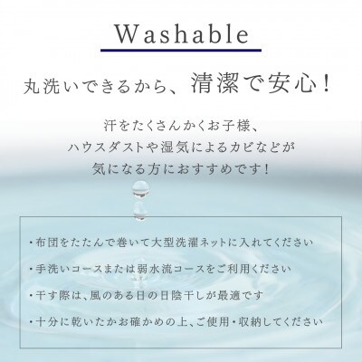 ＜京都金桝＞夏用 羽毛 肌掛け布団 ハンガリーホワイトグースダウン93% アイボリー | Eプラス