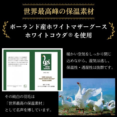 京都金桝の羽毛布団  掛け布団 ポーランドマザーグースダウン95% シルバー DP450 ロジック