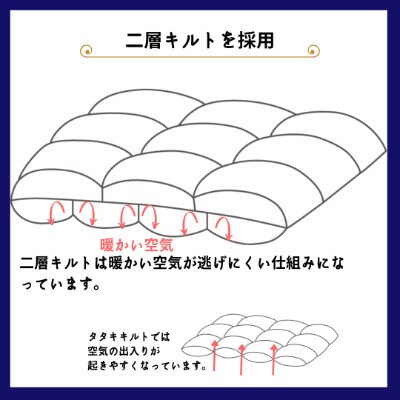 京都金桝の羽毛布団  掛け布団 ポーランドマザーグースダウン95%(ピンク) DP420 ロワーレ