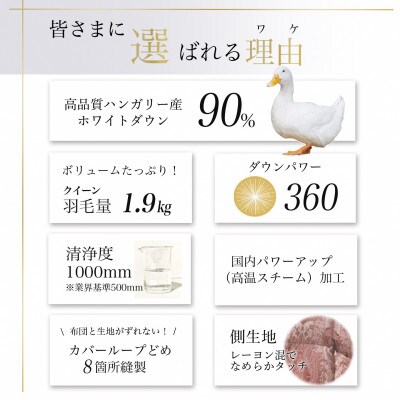 ＜京都金桝＞羽毛布団 本掛け ハンガリーダウン90% クイーン ピンク DP360 アクア