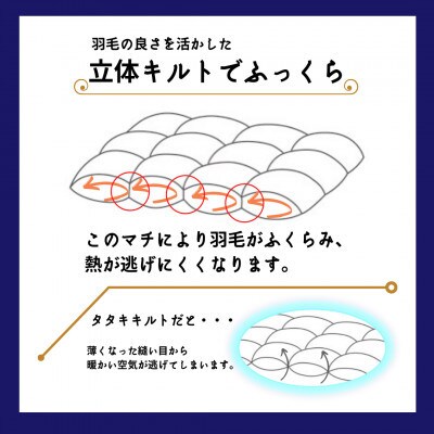 【京都金桝】羽毛布団 掛布団 セミダブル ハンガリーダウン93% DP380 ラークル