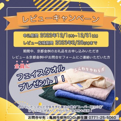 【京都金桝】羽毛布団 掛布団 ポーランドマザーホワイトグースダウン95% DP450 セーヌ ピンク