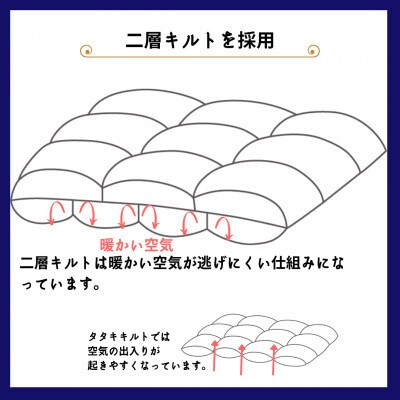 【京都金桝】羽毛布団 掛布団 ポーランドマザーグースダウン95%DP450ロジック ダブル ゴールド