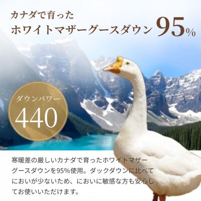 羽毛布団 シングル ピンク カナダマザーホワイトグースダウン95% DP440|エフィットプラス