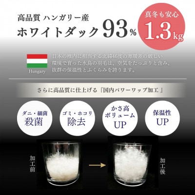 ＜京都金桝＞羽毛布団 シングル ハンガリーホワイトダウン93% アンバーホワイト|ミストプレーン