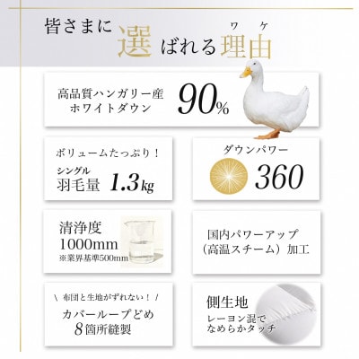 ＜京都金桝＞羽毛布団 本掛け ハンガリーダウン90% アンバーホワイト シングル アクアプレーン