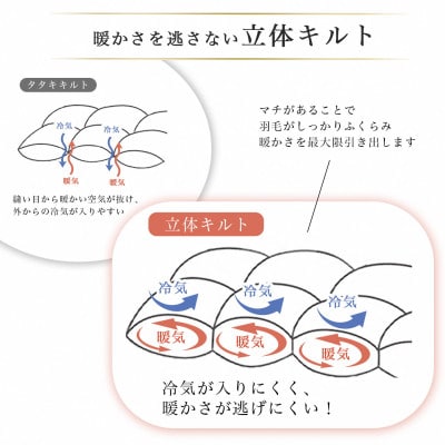 羽毛布団『ダブル』掛け布団 ハンガリーダウン90% パウダーグレー アクアプレーン