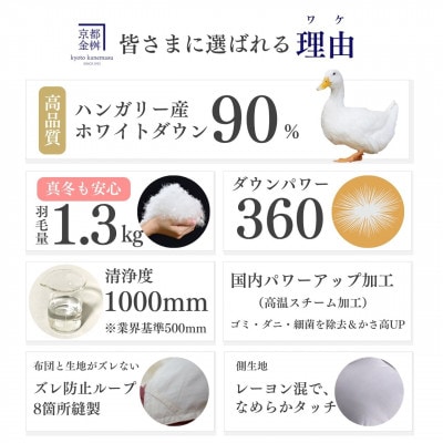 <京都金桝>羽毛布団 本掛け ハンガリーダウン90% シングル パウダーグレー アクアプレーン