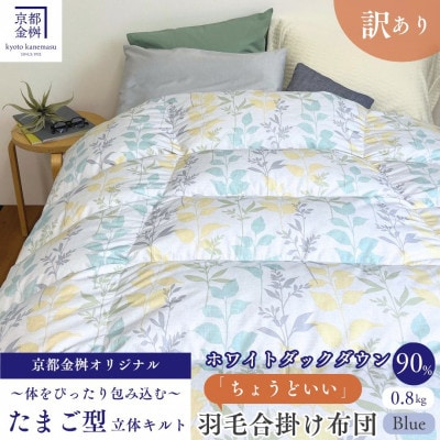 【訳あり】<京都金桝>ちょうどいい羽毛布団 合掛け シングル ホワイトダックダウン90% ブルー