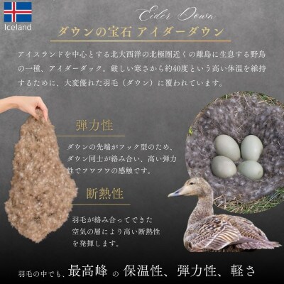 《京都金桝》アイダーダウン95% 1.3kg『キング』高級 羽毛合掛け布団 |モナク