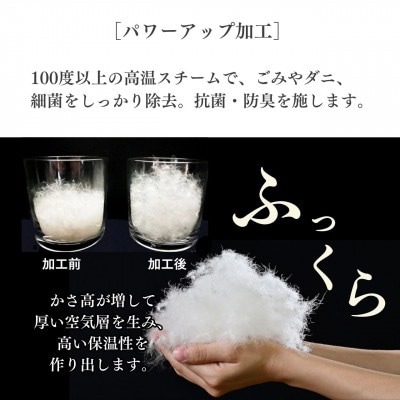 〈京都金桝〉羽毛布団 合掛け シングル 軽量 ホワイトダックダウン85% アッシュベージュ フレール