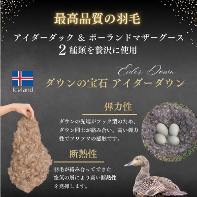 《京都金桝》羽毛布団 アイダーダウン ポーランドマザーグース95% クイーン ピンク|キャピタル
