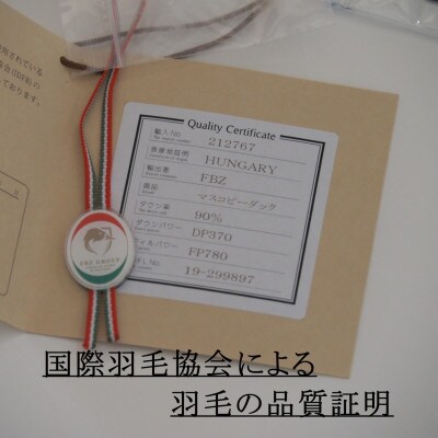 【羽毛布団】洗濯機で洗える羽毛肌掛け布団 セミダブル(170×210cm) ハンガリー産ダウン90%