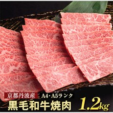 京の肉ひら山厳選 たっぷり1.2kg 黒毛和牛A5、A4 焼肉用(600g&times;2パック) 増量・訳あり