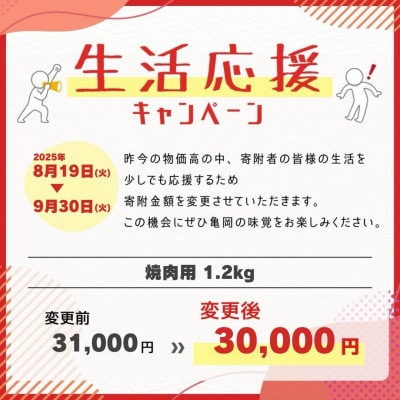 京の肉ひら山厳選 A4,A5 京都産黒毛和牛 焼肉用 1.2kg(600g×2パック)
