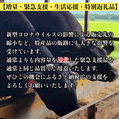 京の肉ひら山の黒毛和牛特選A5 焼肉用 500g 増量・訳あり・緊急支援