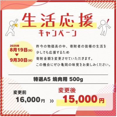 京の肉ひら山厳選 特選A5 京都産黒毛和牛 焼肉用 500g