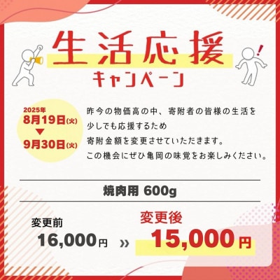 京の肉 ひら山厳選 京都産黒毛和牛 A4,A5 焼肉用 600g