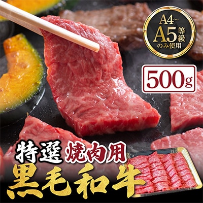 京の肉ひら山厳選 京都産黒毛和牛 特選 A4,A5 赤身 焼肉 500g