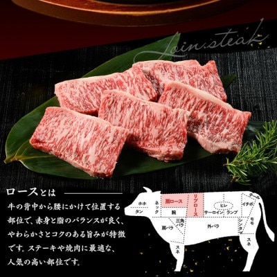 京の肉 ひら山厳選 京都府産 黒毛和牛 ロース ポーション ステーキ 100g×5枚 計500g