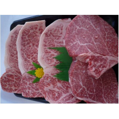 京の肉ひら山厳選 和牛ステーキセット (ヒレ100g x 2枚、サーロイン 200g x 3枚)