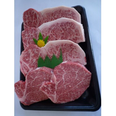 京都府産黒毛和牛 和牛ステーキセット(ヒレ100g×2枚、サーロイン200g×3枚)京の肉ひら山厳選