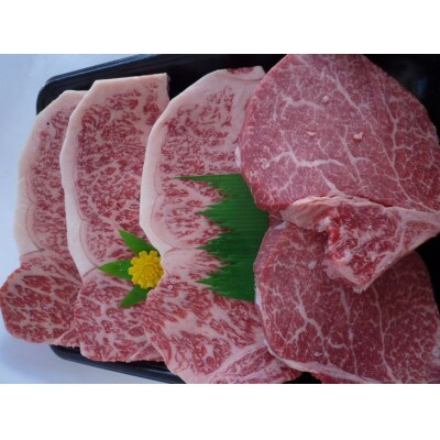 京都府産黒毛和牛 和牛ステーキセット(ヒレ100g×2枚、サーロイン200g×3枚)京の肉ひら山厳選