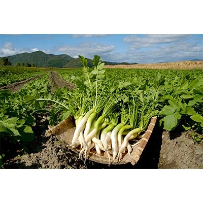 「麒麟がくる 京都大河ドラマ館」ペアチケットと 京つけものもり「選りすぐり10品」