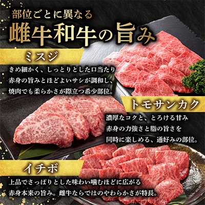 【さとふる限定】A4～A5 厳選雌牛!京丹波姫牛希少部位焼肉3種盛り(ミスジ・トモサンカク・イチボ)