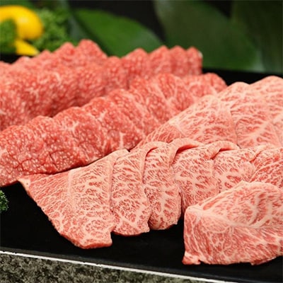 【毎月定期便】京丹波かぐら厳選雌牛!京丹波姫牛 グルメ三昧定期便 計2kg全3回
