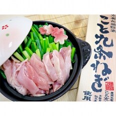 京都産九条ねぎ　鶏の葱鍋セット4人前 (2人前×2)